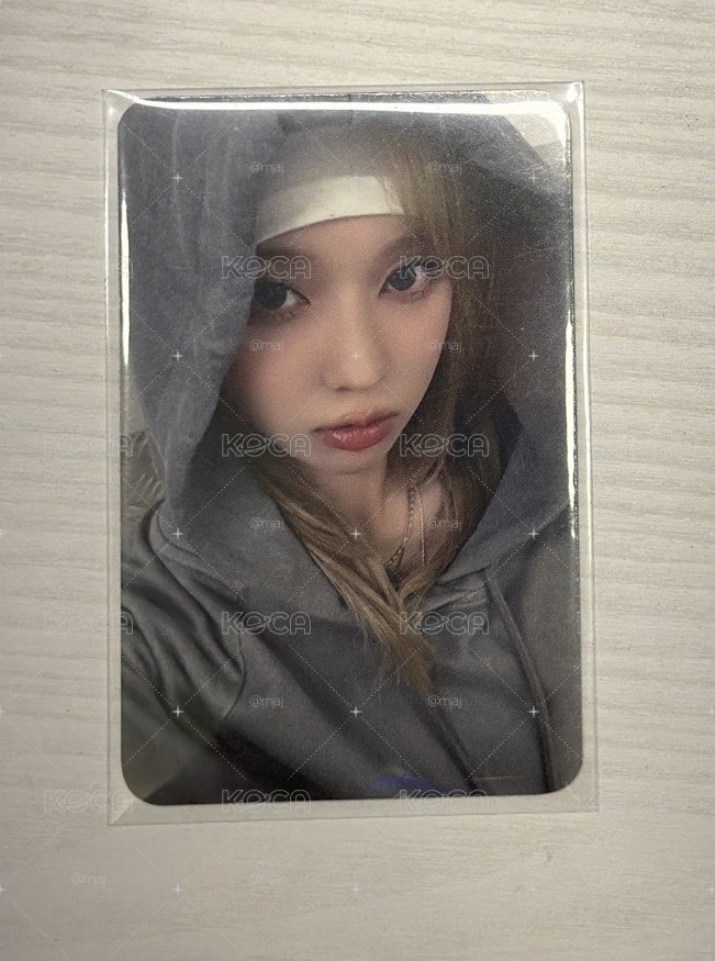 winter 帽踢冬