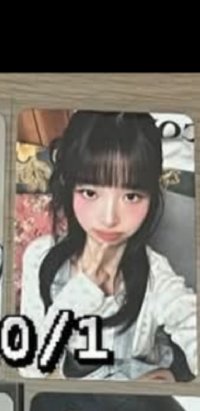 直井怜的狗