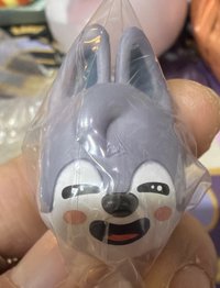 戒指款Wolf Chan燦