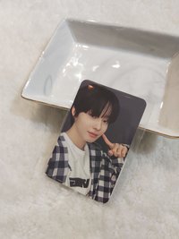 迷一 阿拉丁 佳樹