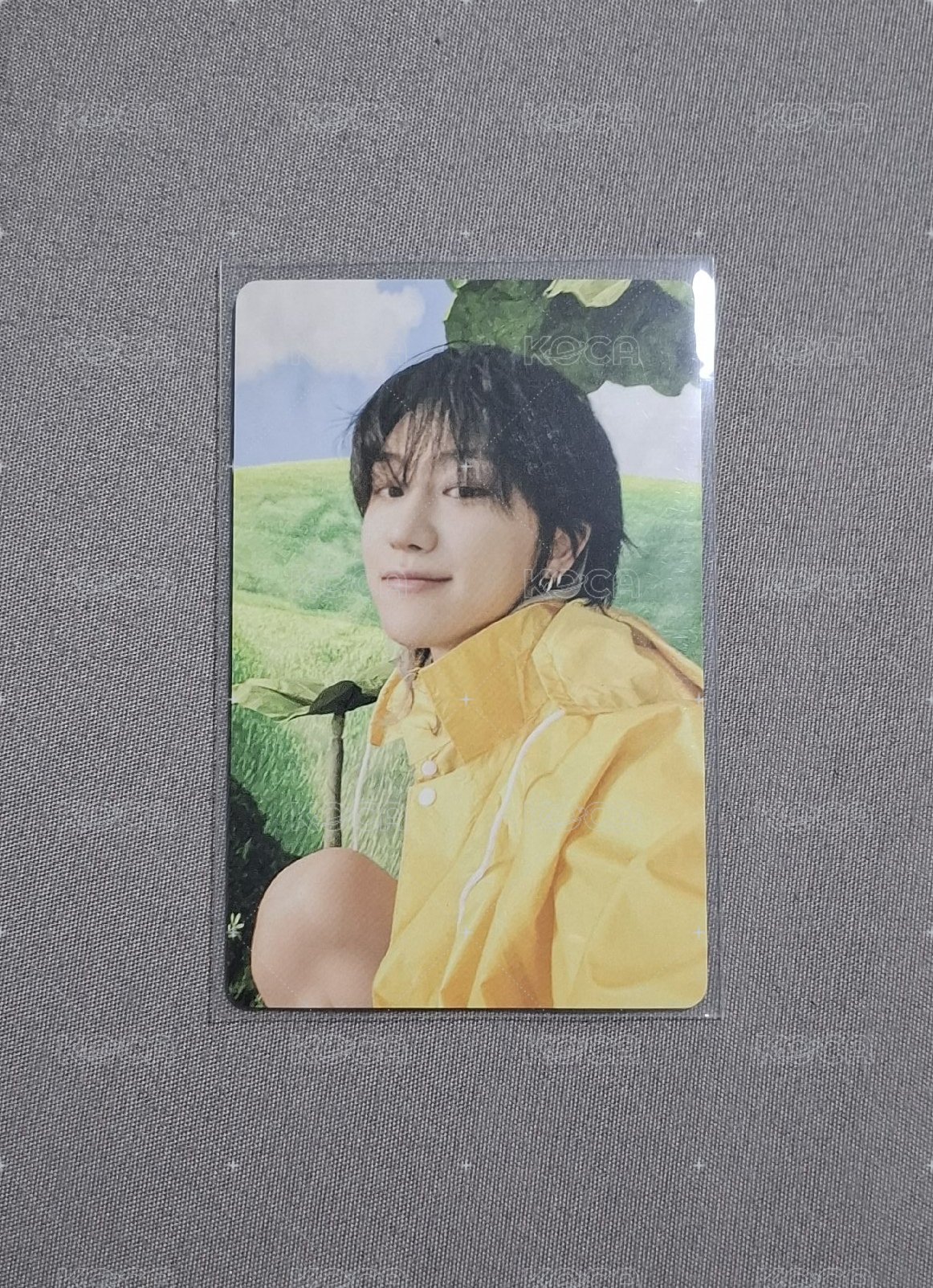 雨衣盤