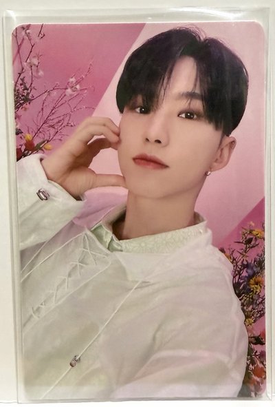 Seventeen小卡-Hoshi