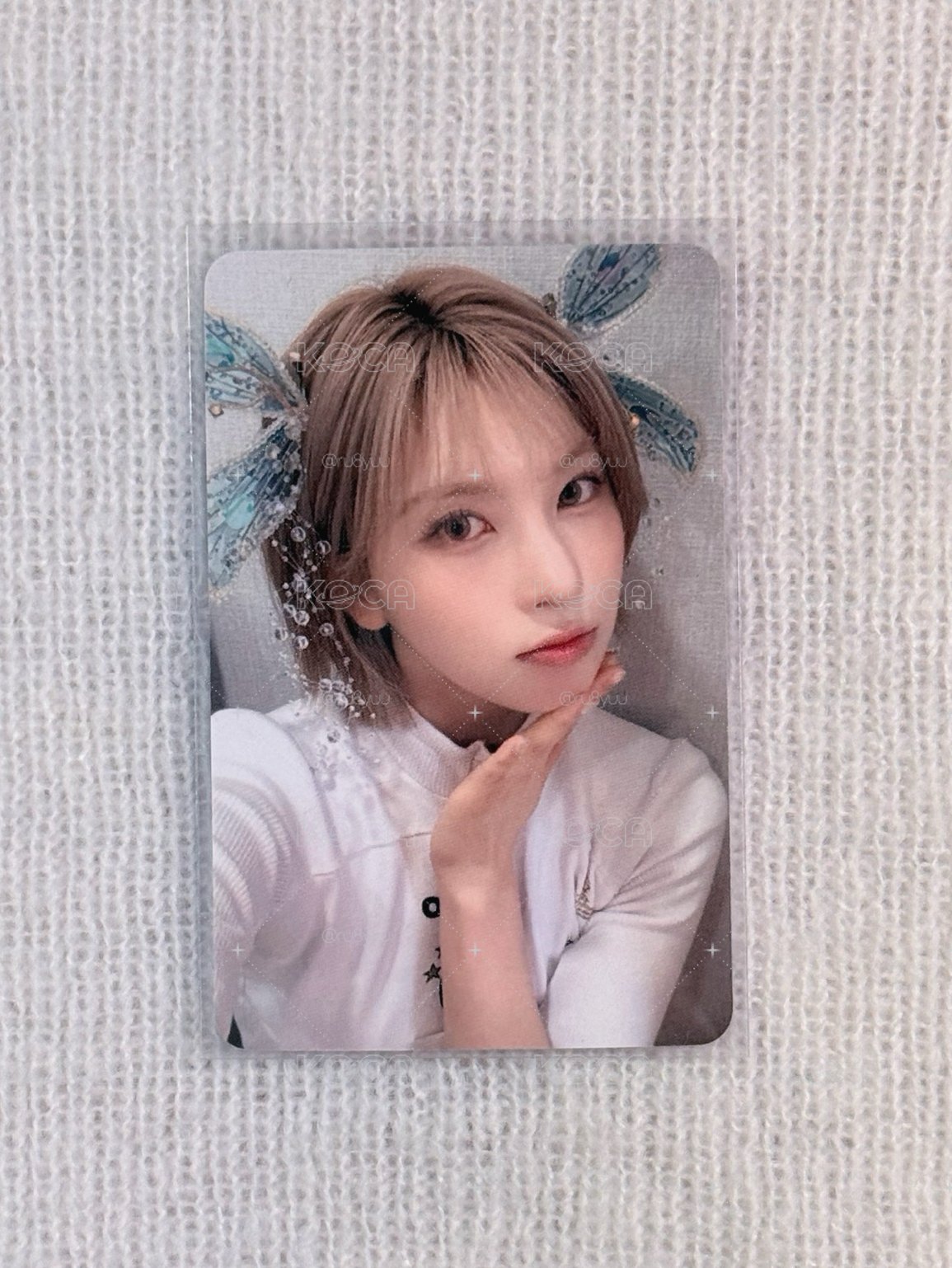 NMIXX｜妖精裴（中背）