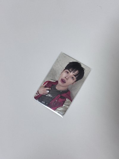 井上陽專卡（娃專/beatboxer/nallina)