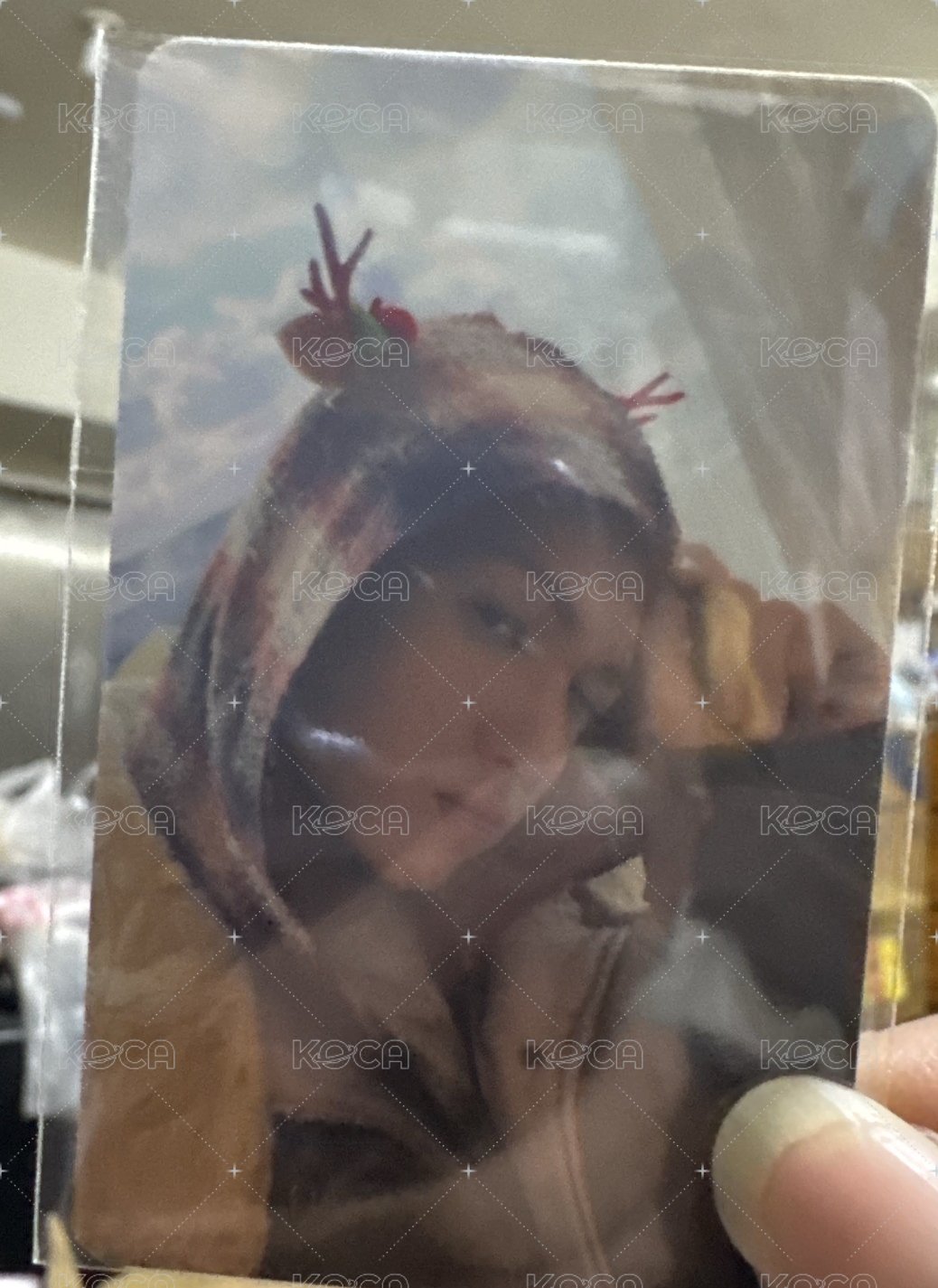 年末mp馬