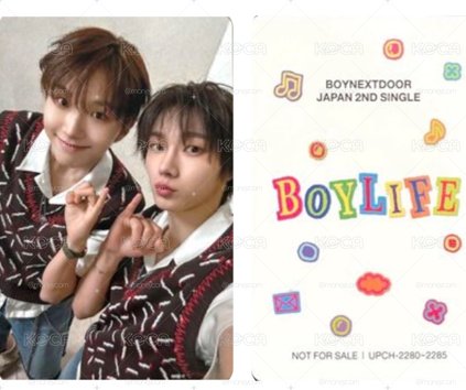 BOYLIFE 專輯卡 雙人卡 16