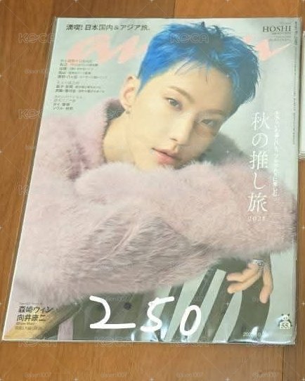 Hoshi雜誌