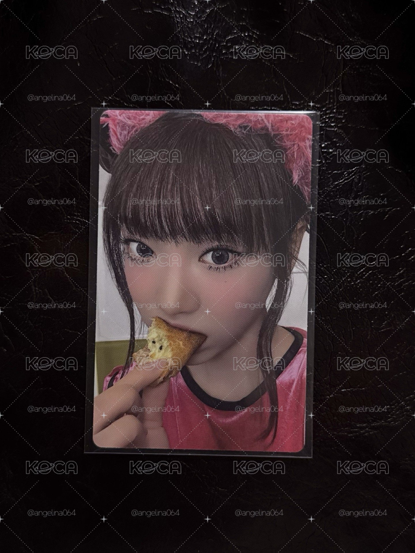 回憶錄DVD寧
