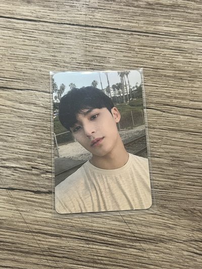 Seventeen 歷年專卡-奎