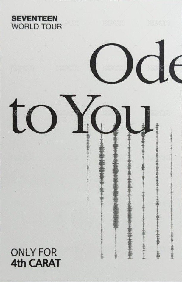 19’OTY 入場卡 / 場限卡  背面