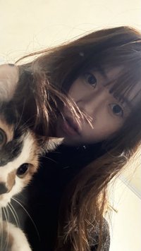哈辛