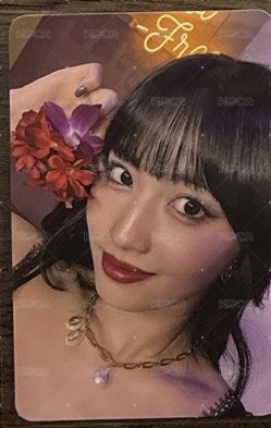 紅花桃🩷