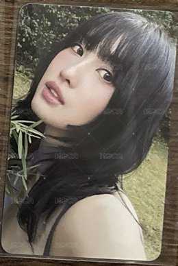 美美的桃🩷