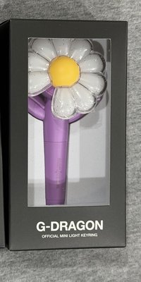 GD台灣場小手燈-紫