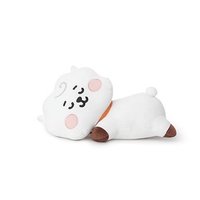 BT21 Baby 趴娃 19
