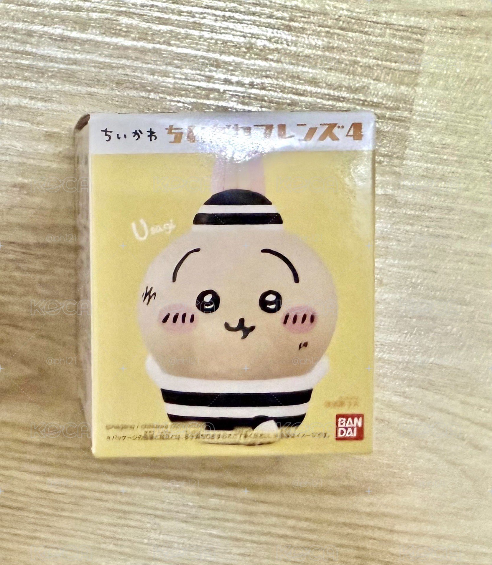監獄兔