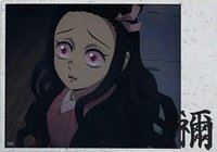 TYshop HIGHLIGHT PICK 隨機卡 STILL 005