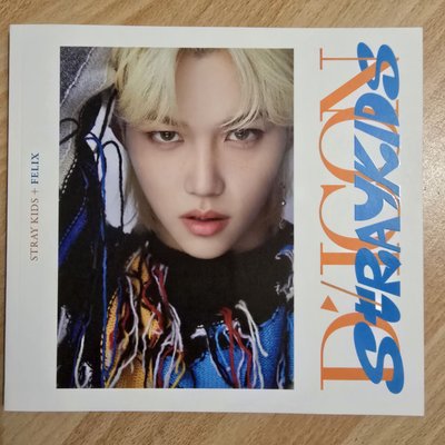 Stray Kids DICON D'FESTA寫真書🐥Felix 菲菲