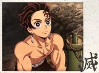 TYshop HIGHLIGHT PICK 隨機卡 STILL 071