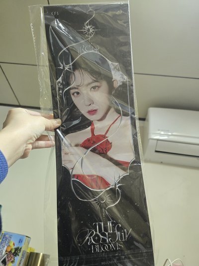 Irene 聖誕立牌組