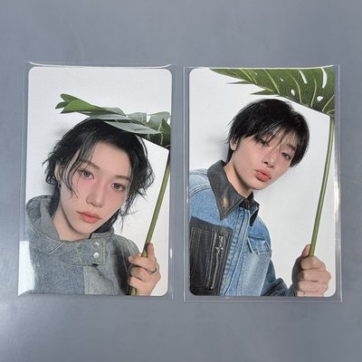 SKZ 寅菲 靜岡場 0511 Hollow 場限
