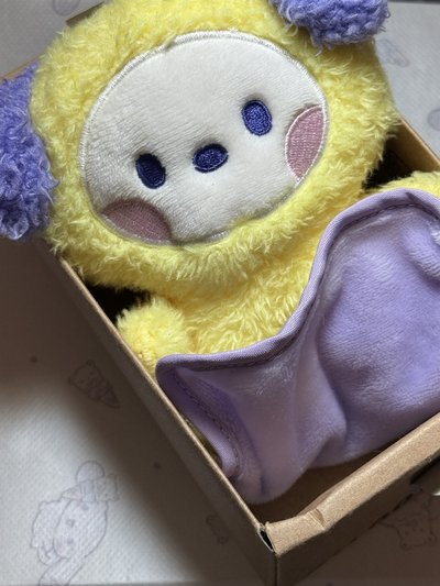 用布布包好chimmy bts minini 