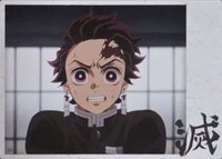 TYshop HIGHLIGHT PICK 隨機卡 STILL 053