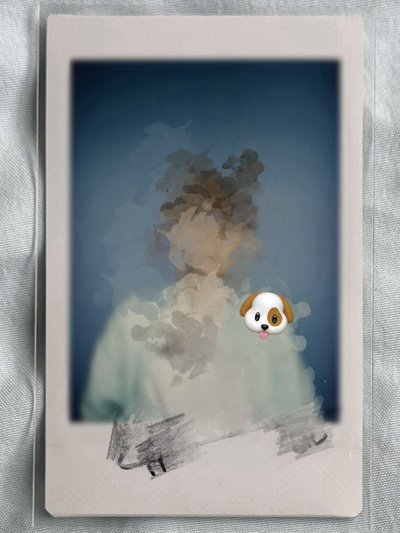 岡旻 正規一 粉髮 未公開親簽拍立得