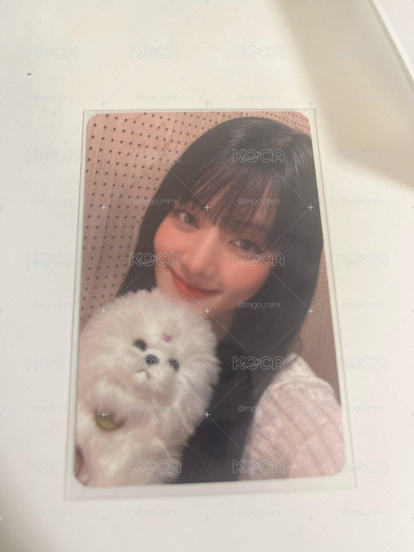🦊狗狗妮am特典