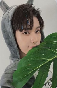 迷二 dmm 簽售卡 龍貓ver.