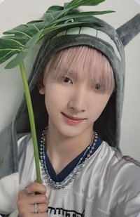 迷二 dmm 簽售卡 龍貓ver.