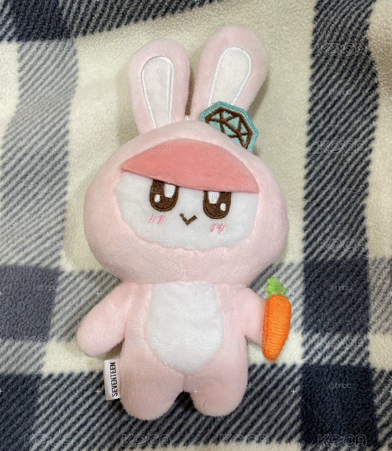 兔蹦