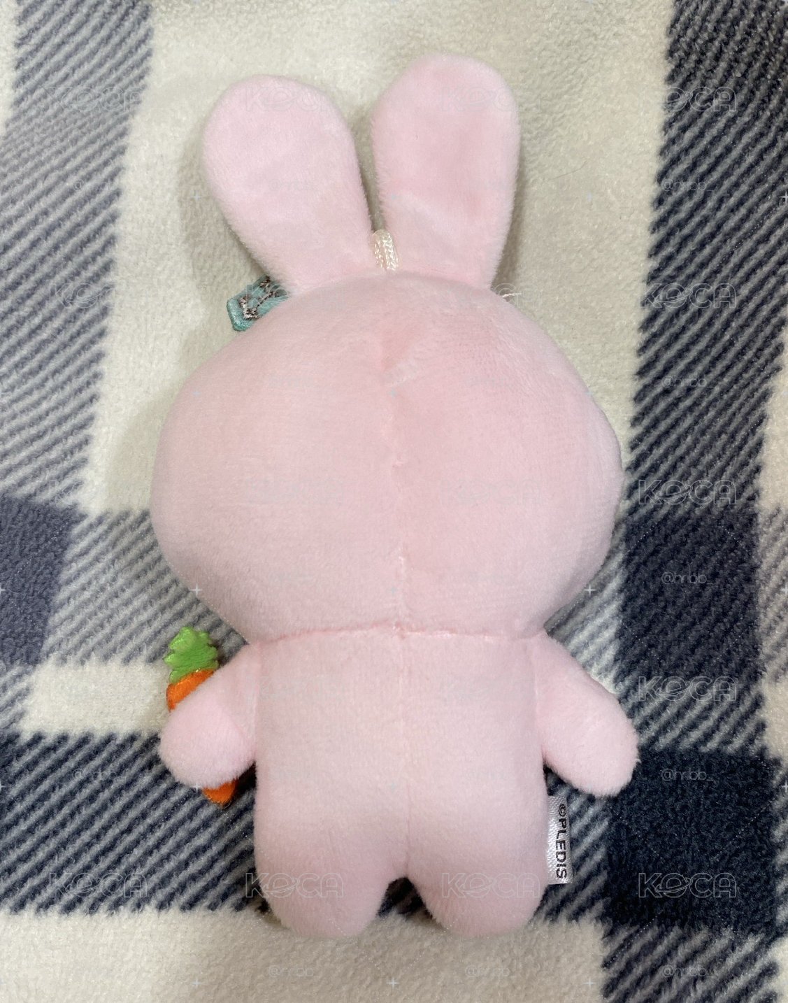 兔蹦