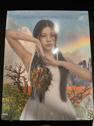 NMIXX 圭真 油畫專