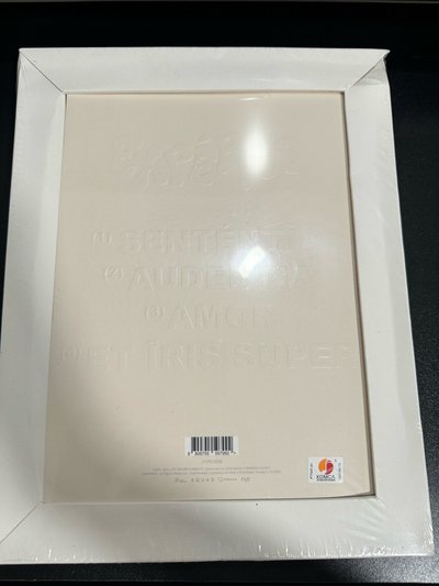 NMIXX 圭真 油畫專