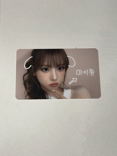 寵物鏡頭 莉 友（不拆）