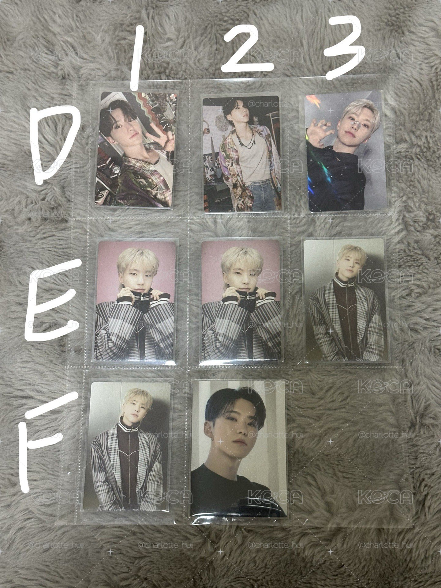SEVENTEEN Hoshi 卡區