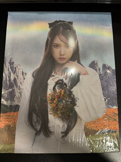 JIWOO 智友 未拆油畫專