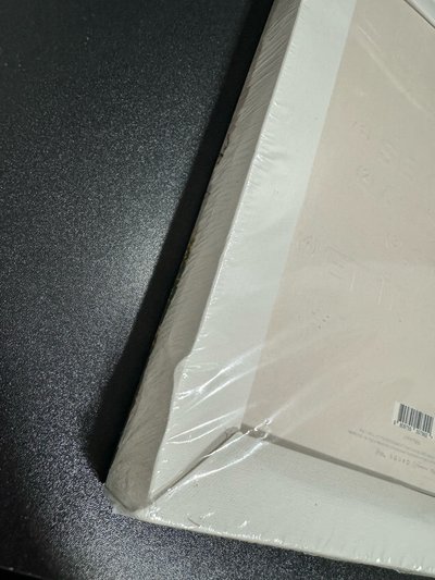 HAEWON 未拆油畫專