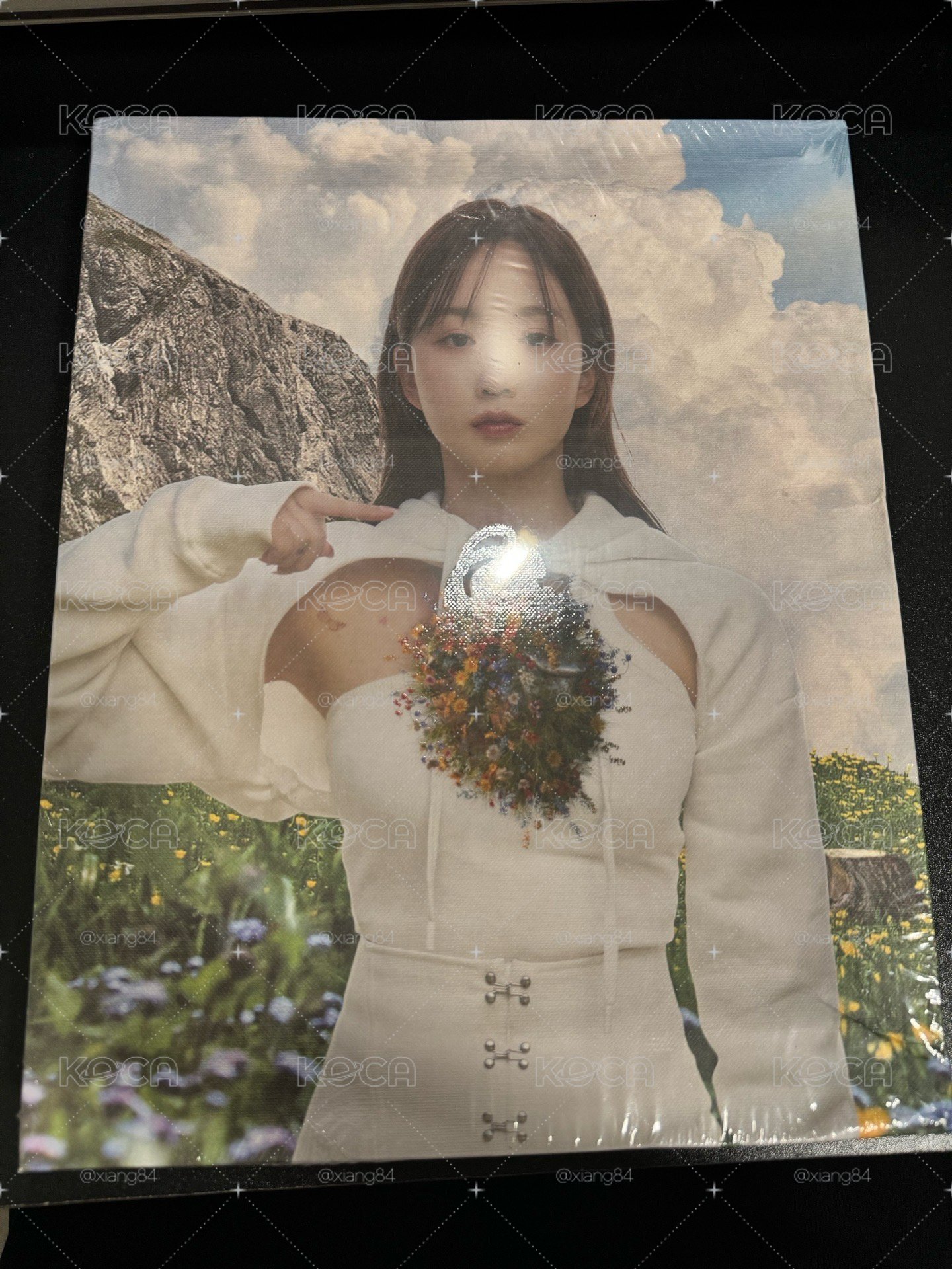 HAEWON 未拆油畫專