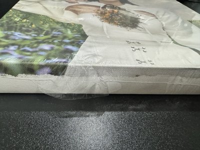 HAEWON 未拆油畫專