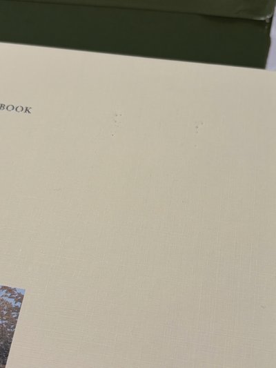 🩵Social Club一套 無小卡名片（500）