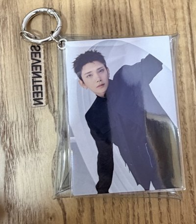 NEW_ 日巡pvc 小包 秀、奎