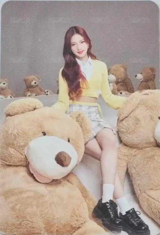 泰迪熊 日版 快閃 隨機卡  背面