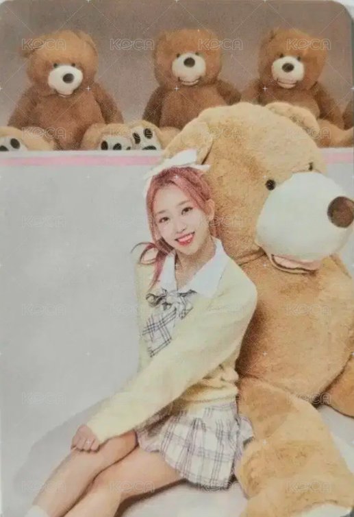 泰迪熊 日版 快閃 隨機卡  背面