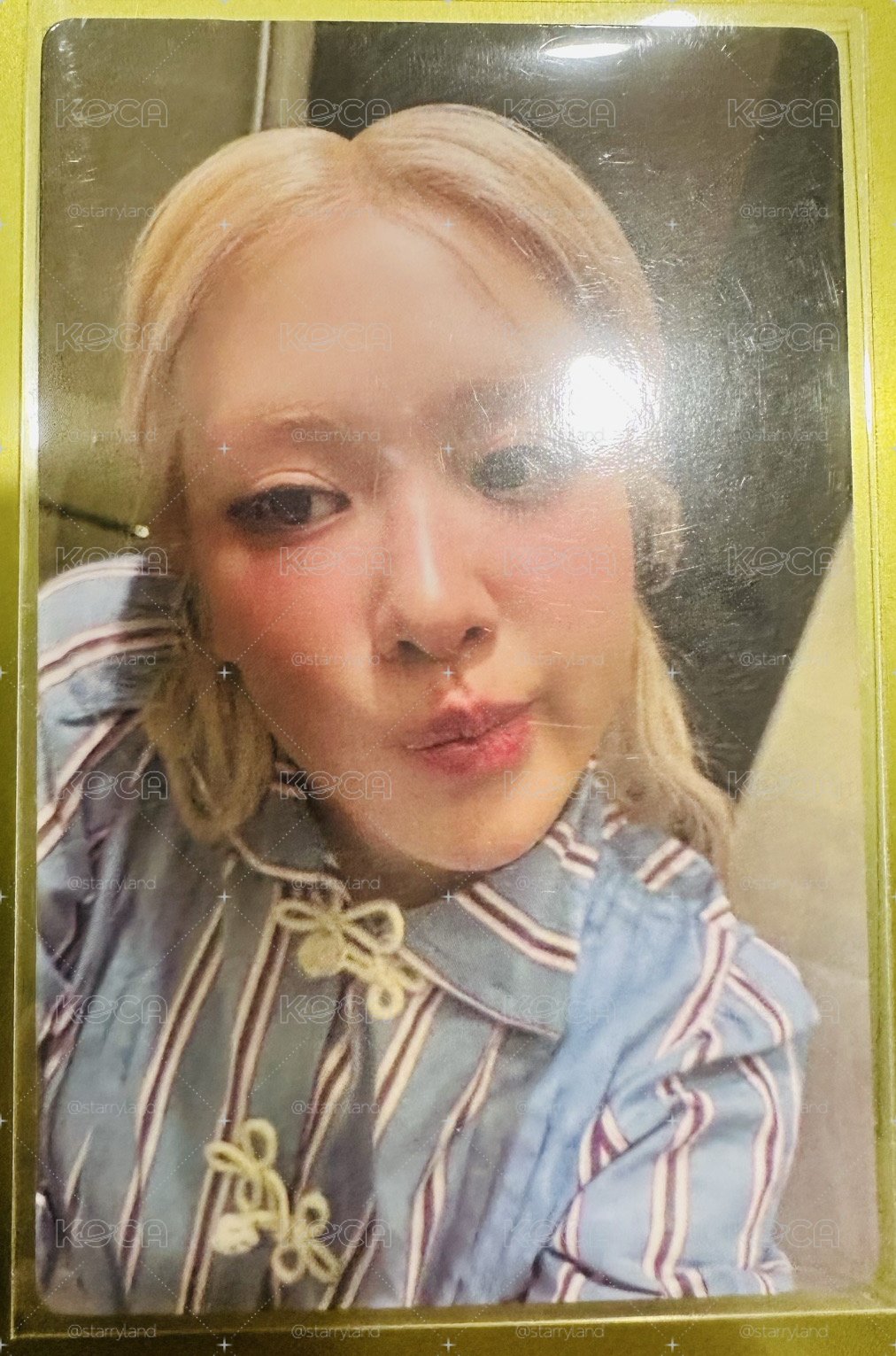 Rosie 快閃滿額