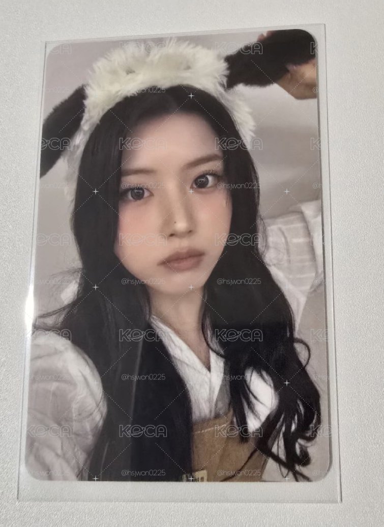 【JIWOO】動物咖啡廳友