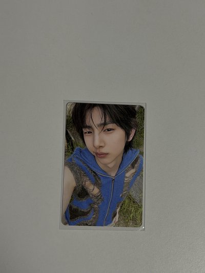 Cortis電子專 金主訓專卡A/B版