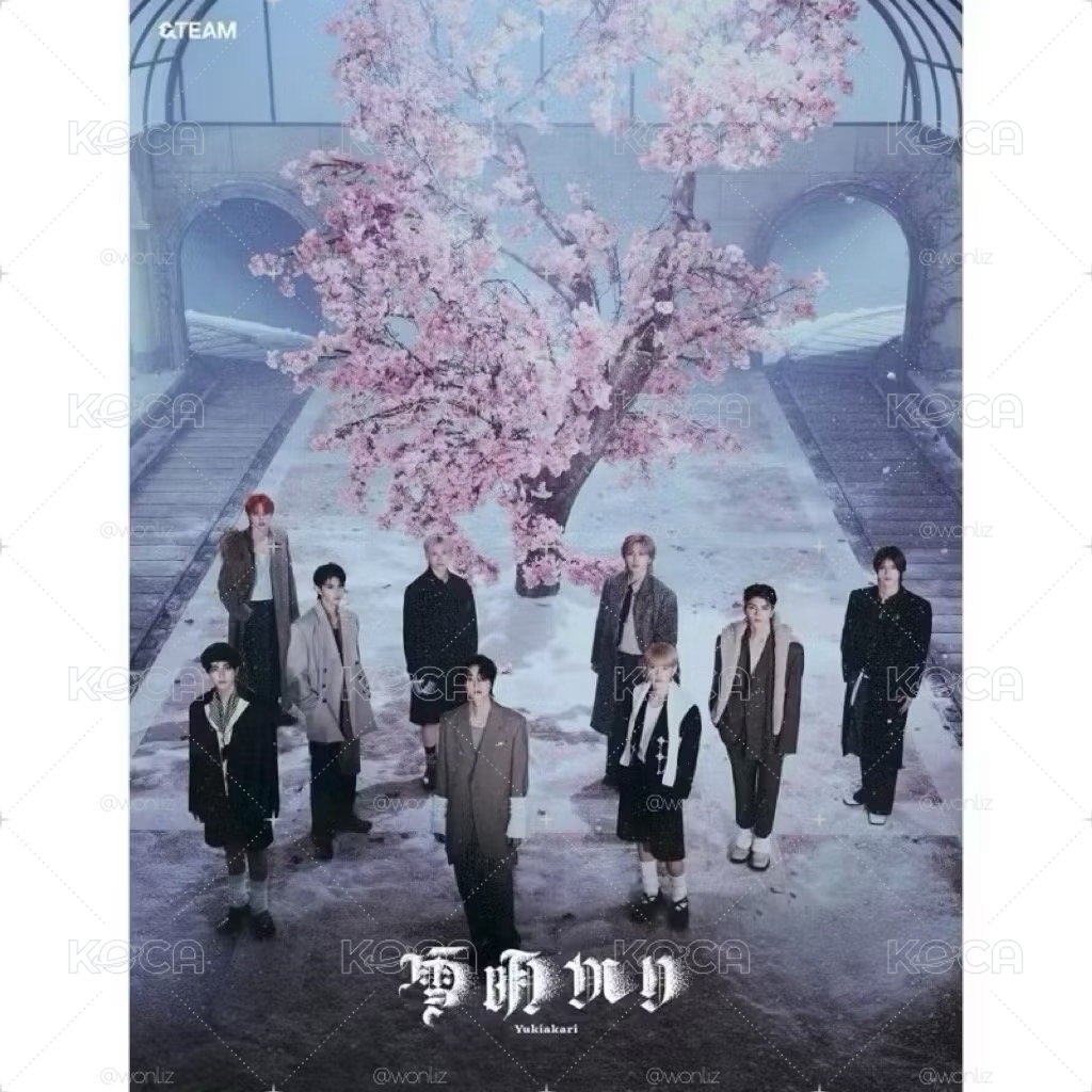 &team 雪明 初回限定 未拆專