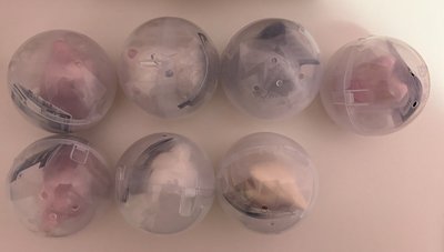 Stray kids 方燦 徐彰彬 黃鉉辰 梁精寅 BANDAI 公仔 小夜燈扭蛋 